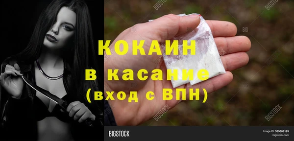хмурый Алзамай