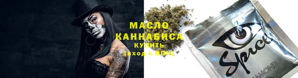 хмурый Алзамай