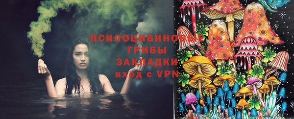 хмурый Алзамай