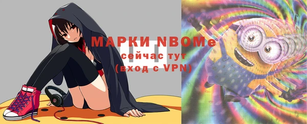 хмурый Алзамай